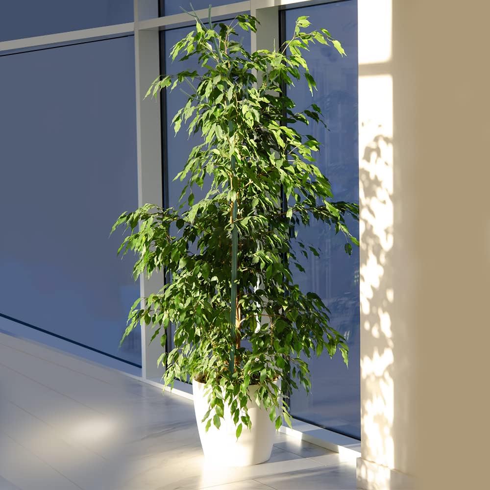 5 Sets Twig Plant Support Stakes Branch Plant Sticks for Indoor Plants Plant Holder Stick Plant Support Structure — view 2