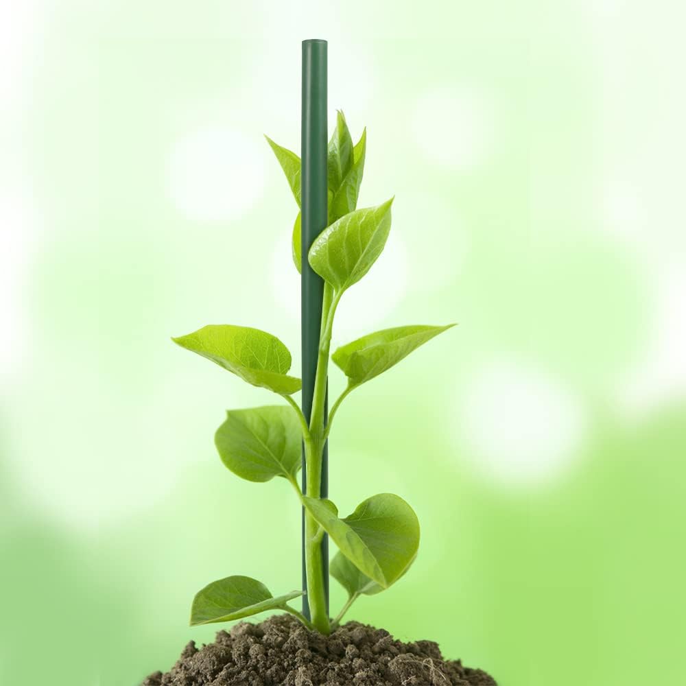 5 Sets Twig Plant Support Stakes Branch Plant Sticks for Indoor Plants Plant Holder Stick Plant Support Structure — view 4