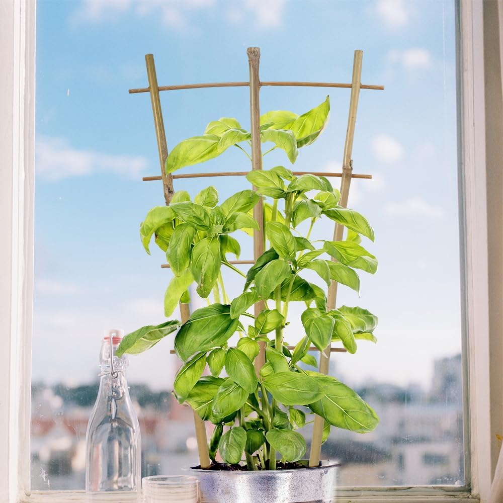 10 Pcs 16′′ Bamboo Trellis with Twist Ties Fan-Shaped Plant Trellis Garden Ladder Trellis for Indoor Potted Plants Climbing Plants — LucyPhy